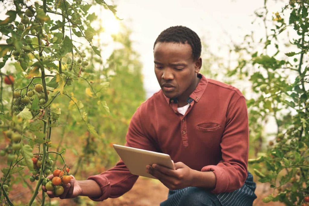 farmer using chatbots in Africa